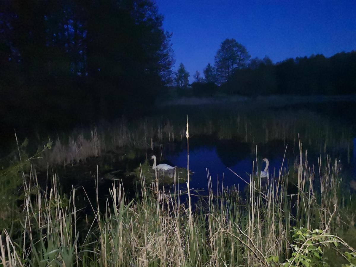 Mazurski Staw Gołdap Exteriör bild